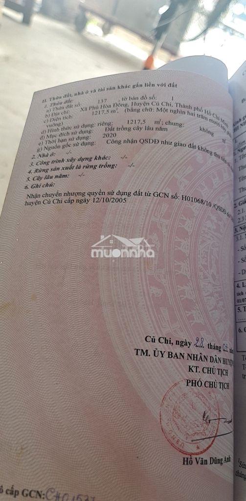Cần bán lô đất trồng cây lâu năm mặt tiền đường bờ sông sài gòn