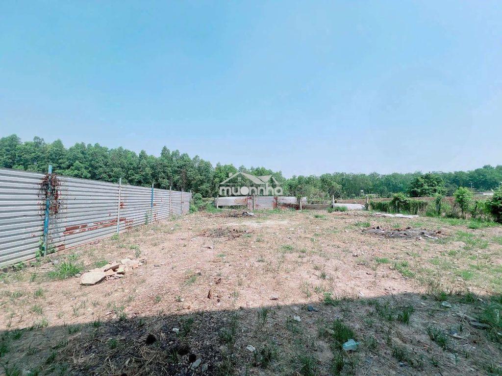 Cho thuê 1000m2 kho, nhà xưởng gần nước thiện tân (trảng dài) đồng nai - 4