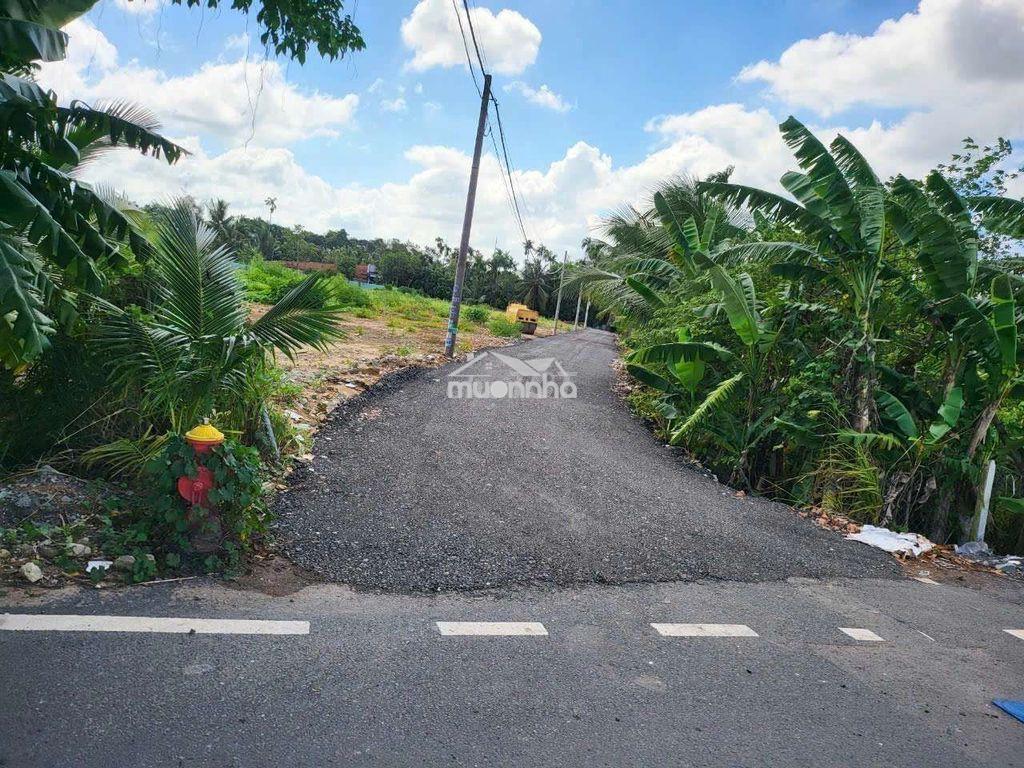 Đất ngay mặt tiền vào, đường xe contener, nhị bình 3, hóc môn - 2