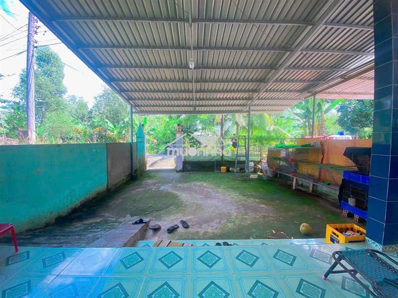Bán nhà c4 đường 65 tân phú trung 142,7m2 sổ hồng riêng giá 950 triệu