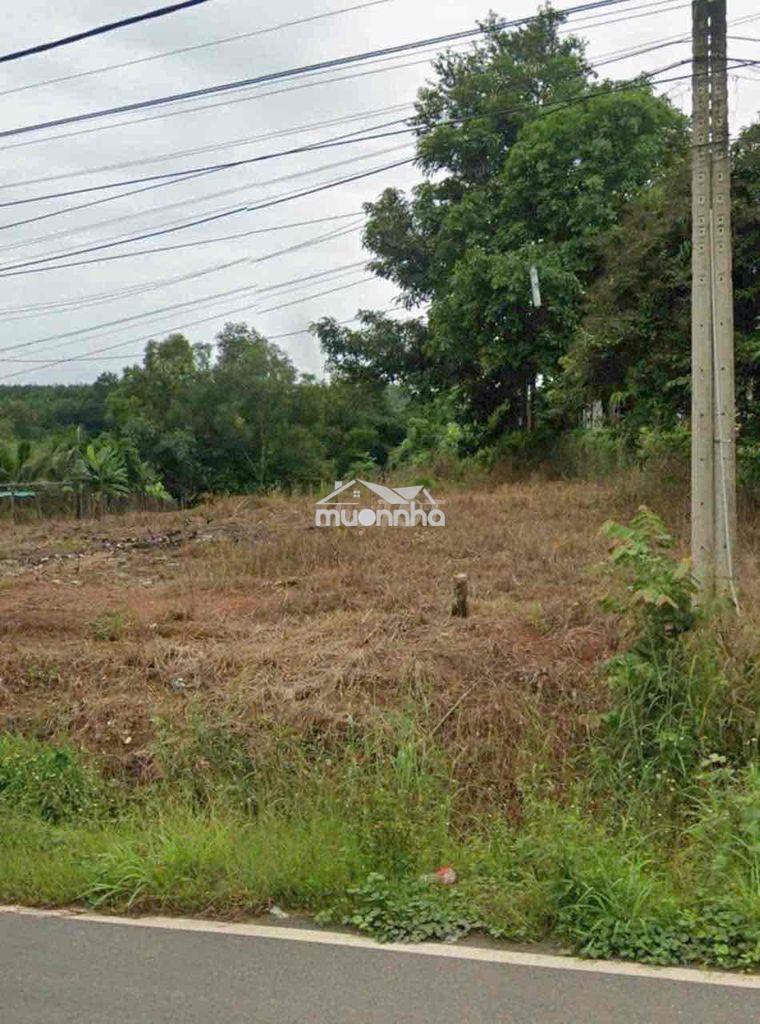 Bán đất biệt thự 2000m2 - 3