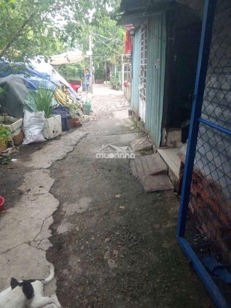 CẦN CHO THUÊ NHÀ TÔN TIỀN CHẾ