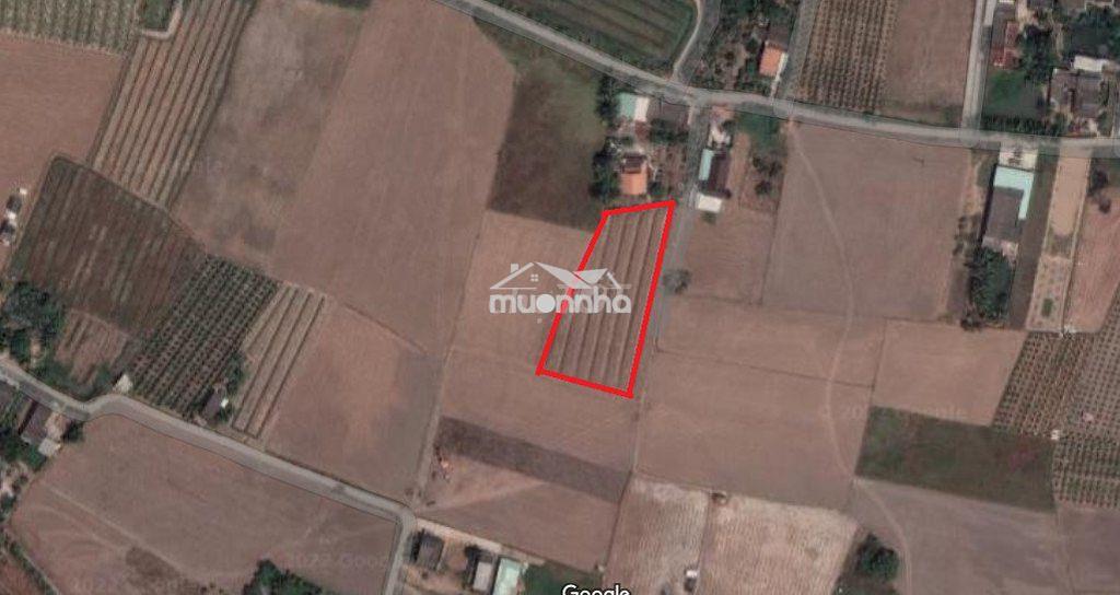 Bán 2345 m2 đất, thạnh đức, bến lức, long an - 2