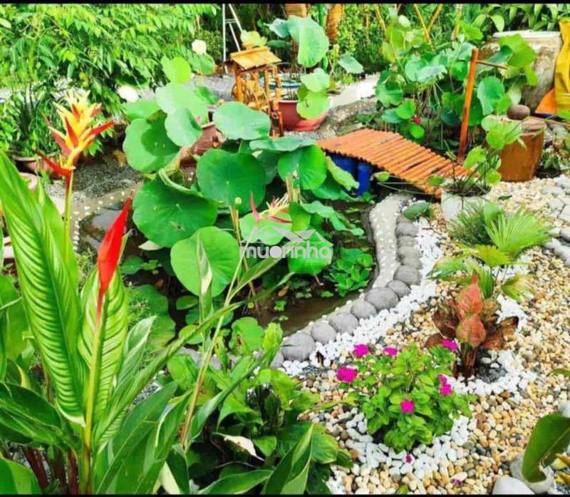 Chính chủ cần tiền muốn bán gấp lô đất giá rẻ