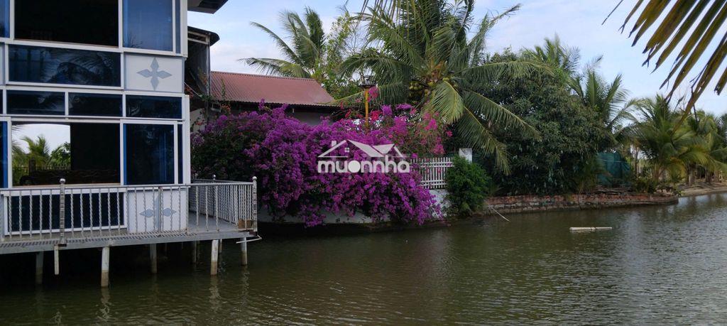 Bán trọn gói nhà vườn quy mô ~12.000m² tại hàm thuận nam – bình thuận - 2