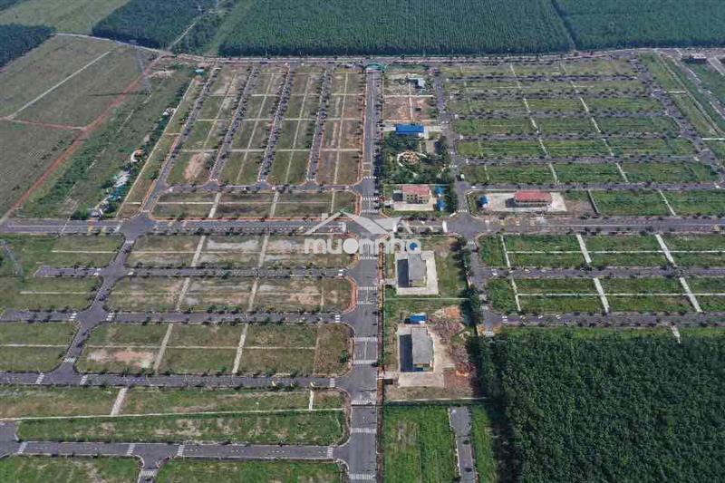 Dự án đức phát 3