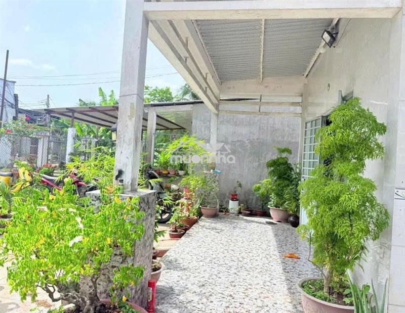 Ngộp chủ cần bán gấp căn nhà đường giồng cát, tân phú trung
