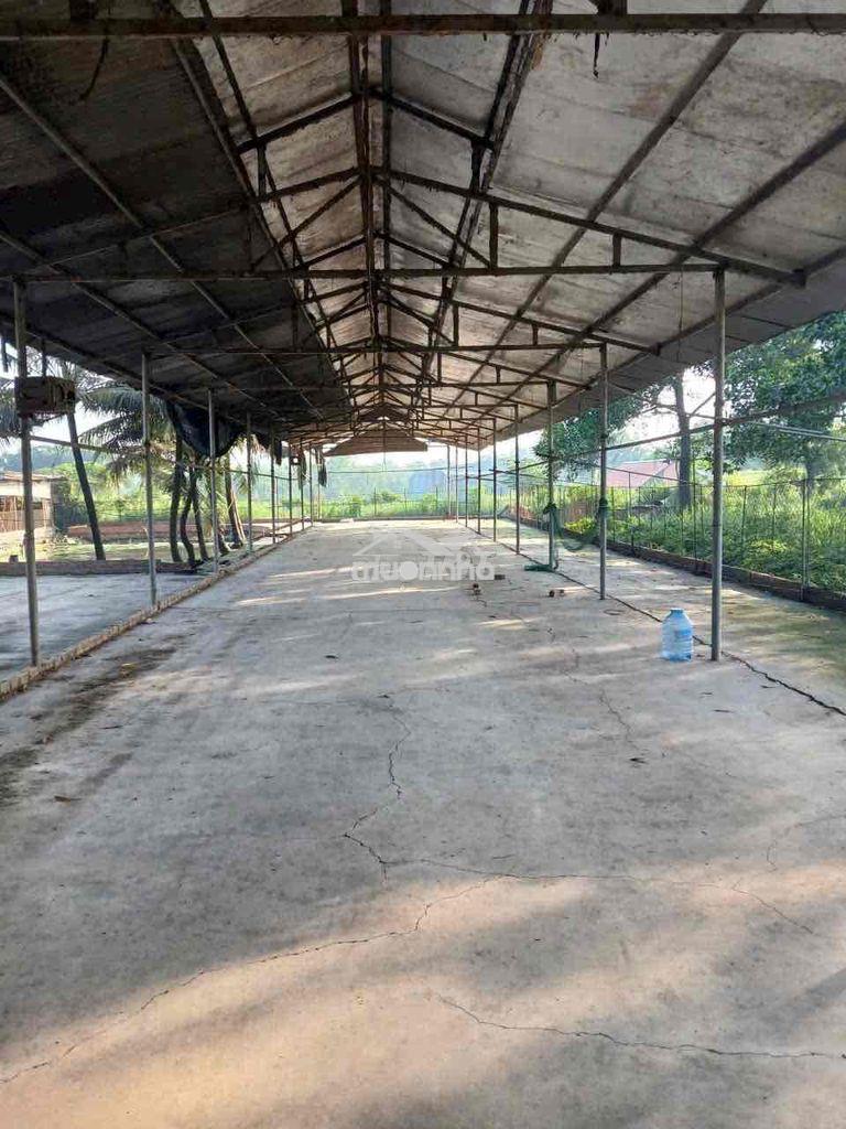 Cho thuê nhà vườn 1500m2 - (có điện 3fa -xưởng)- trảng dài - giá: 20tr - 2