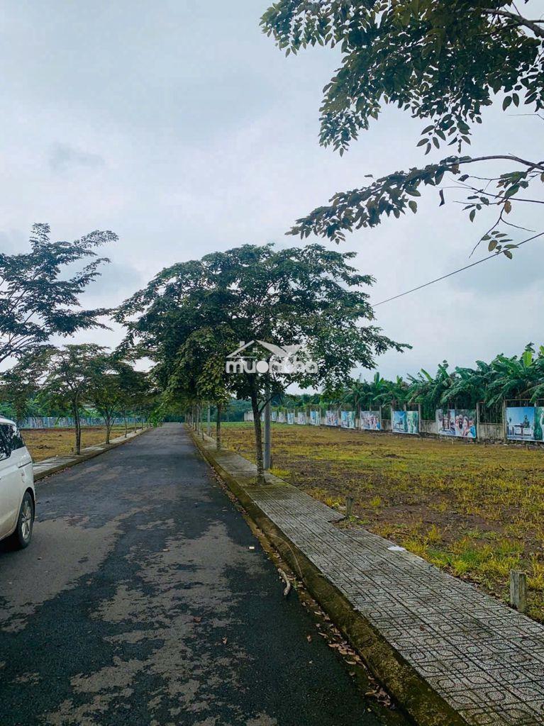 Top 1! siêu phẩm đồng nai, view siêu đẹp, giá khỏi bàn, đầu tư là lãi - 4