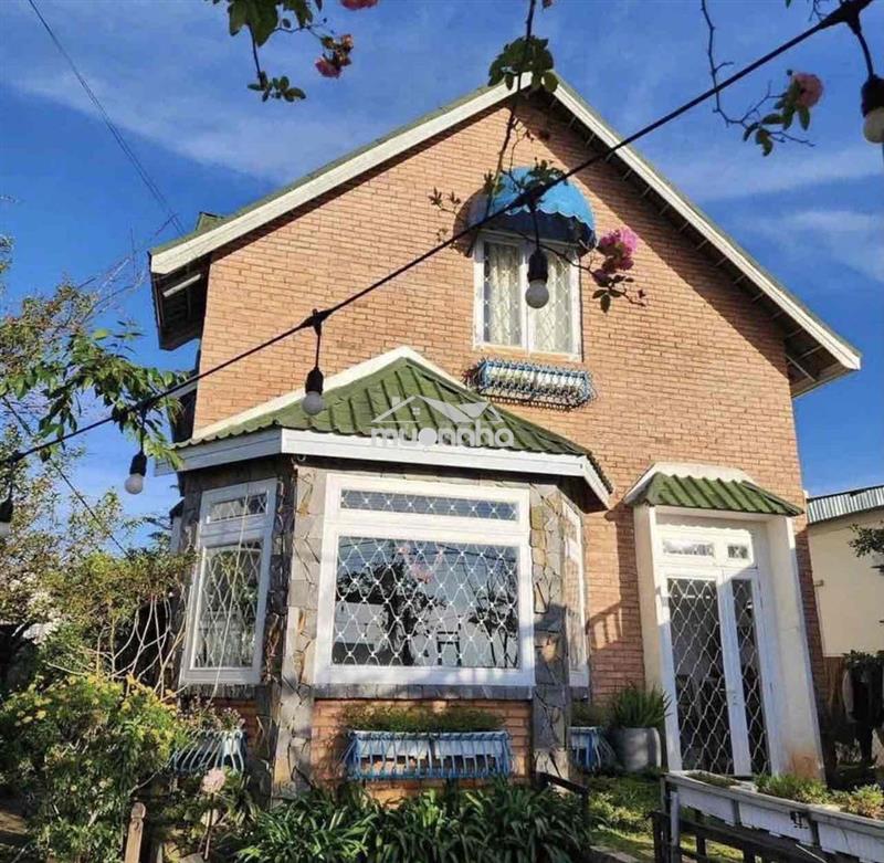 🏡 Cho thuê villa sân vườn p8 đà lạt  📍 đường trần đại nghĩa, phường 8,