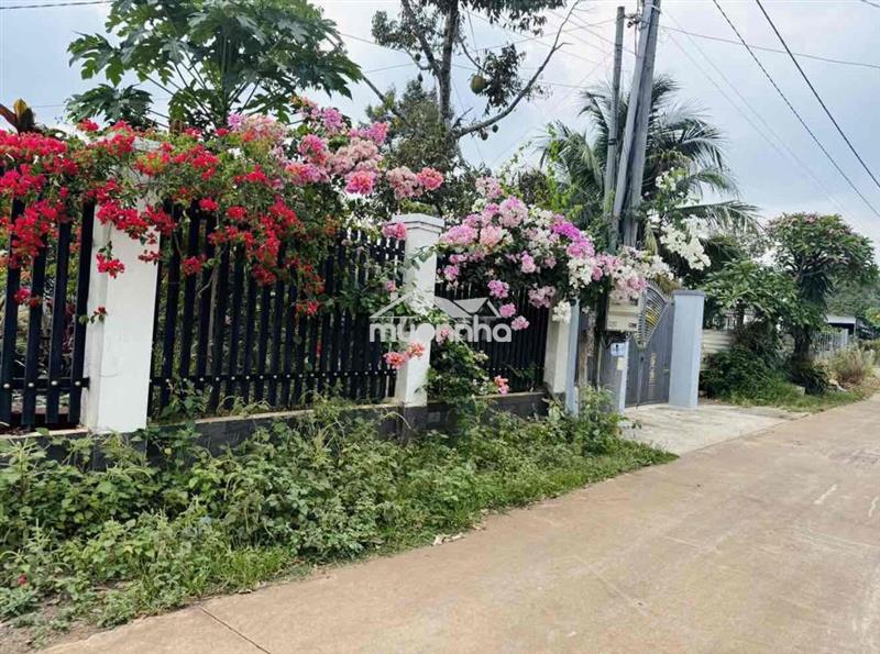 Bán đất thổ cư gần chợ bình lộc - đồng nai