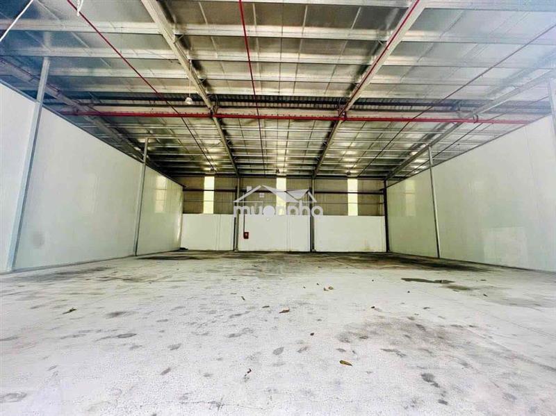 Cho thuê xương an phú thuận an 2000m2