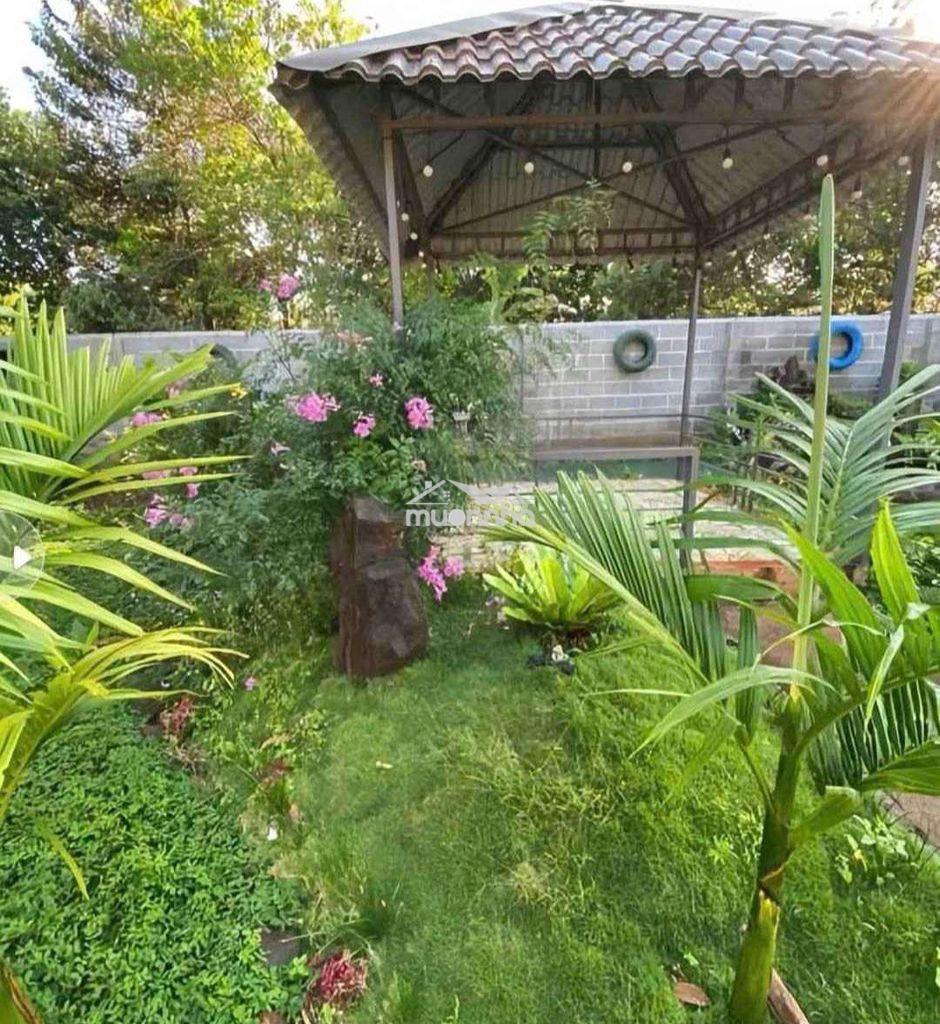 Chú an gửi bán căn nhà cấp 4 - 3