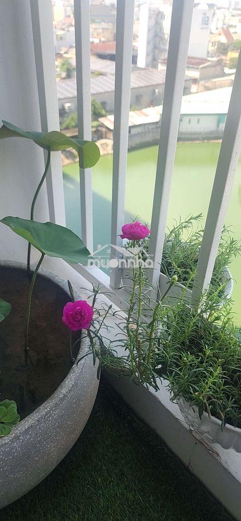 CĂN  GÓC KIM TÂM HẢI 100M2 3PN2WC MÁY LẠNH 