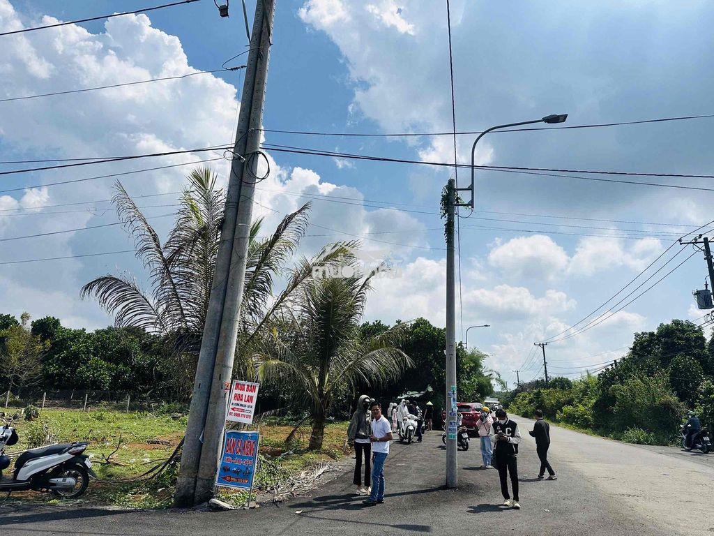 Bán 300m2 thổ cư 2 mặt tiền nhựa tp.đồng nai - 2