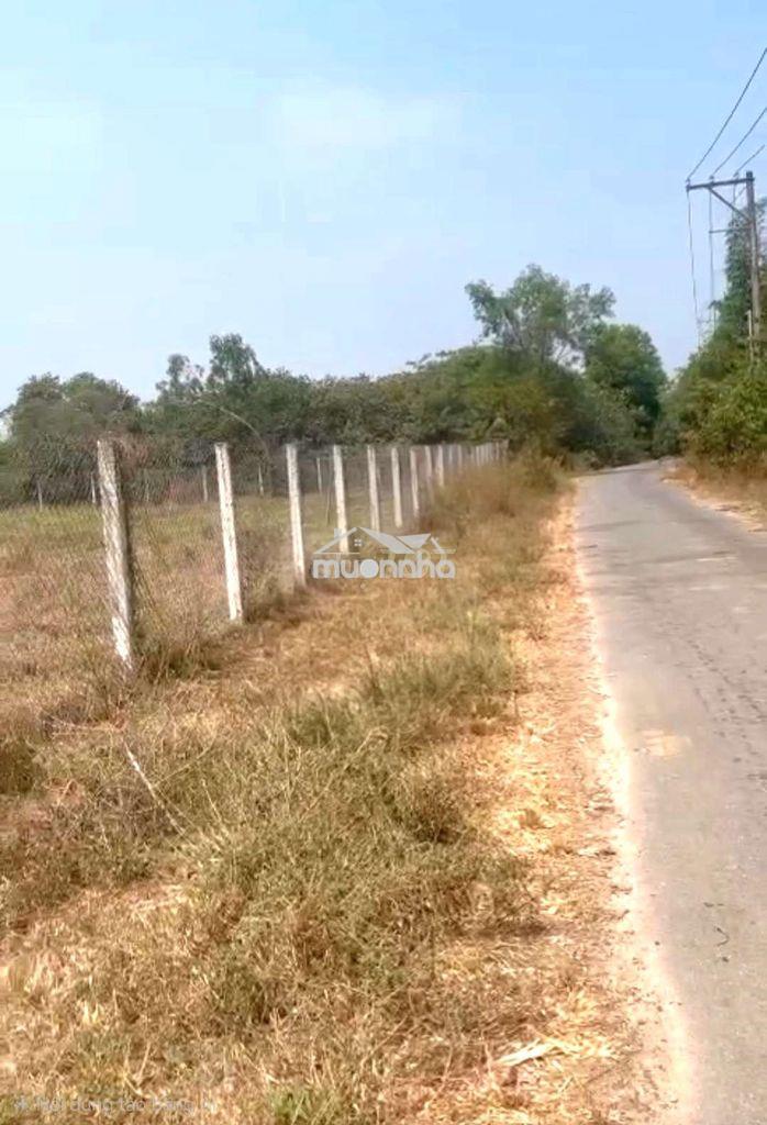 Bán đất 14 430m2 đất gần sân bay long thành