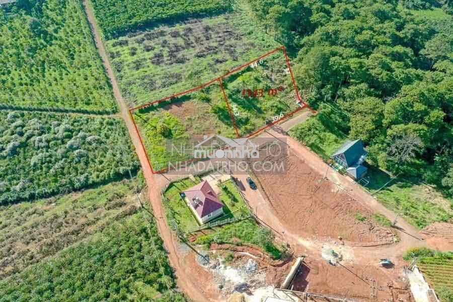 Bán 1.343m2 (1.35 xào) ngang 40x35 m trung tâm dambri tp bảo lộc - 2