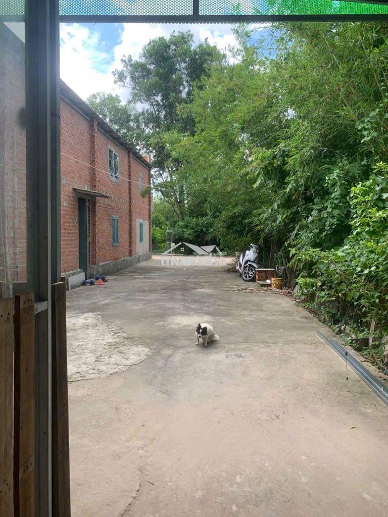 📢 Chính chủ bán đất có nhà vườn 699trieu – 5x65m – sổ hồng riêng - 4