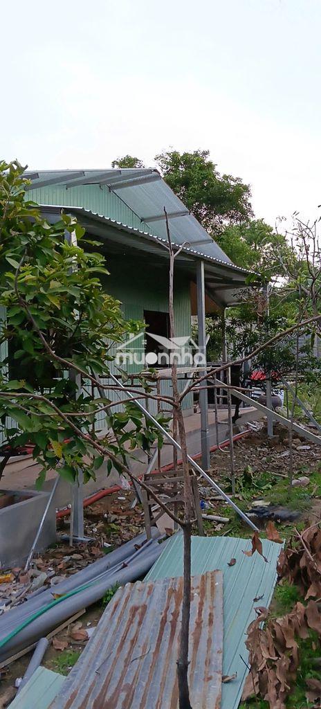 Cho thuê homestay