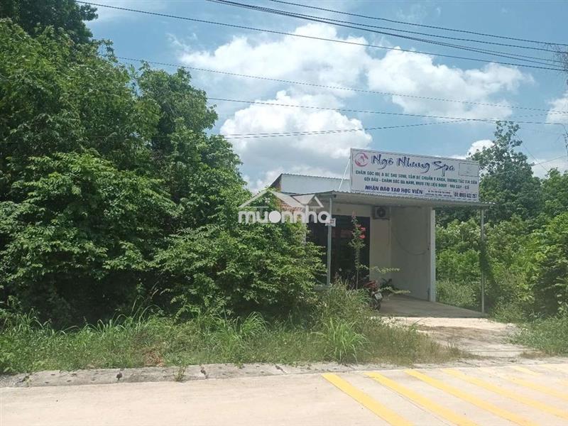 Bán đất thị trấn tân thành binh dương