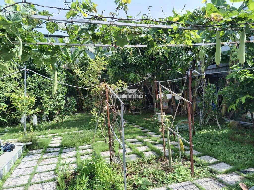 Nhà vườn nghĩ dưỡng 700m² phường bửu long - 2