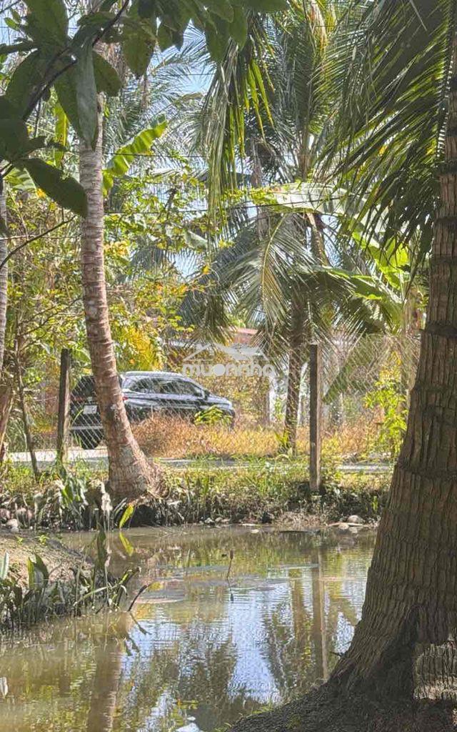 Đất sơn đông bến tre