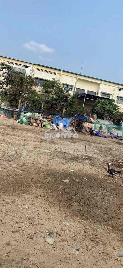 Đất vườn phường bình chiểu ,cách mt ngô chí quốc 300m - 3