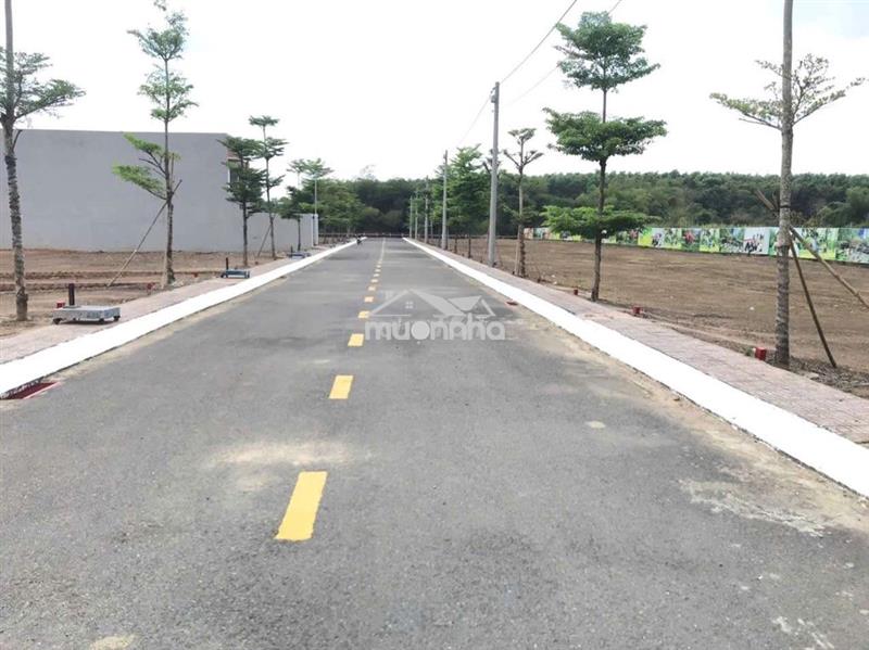 Đất thổ cư 6x20 giữa 2 kcn bàu xéo và giang điền.