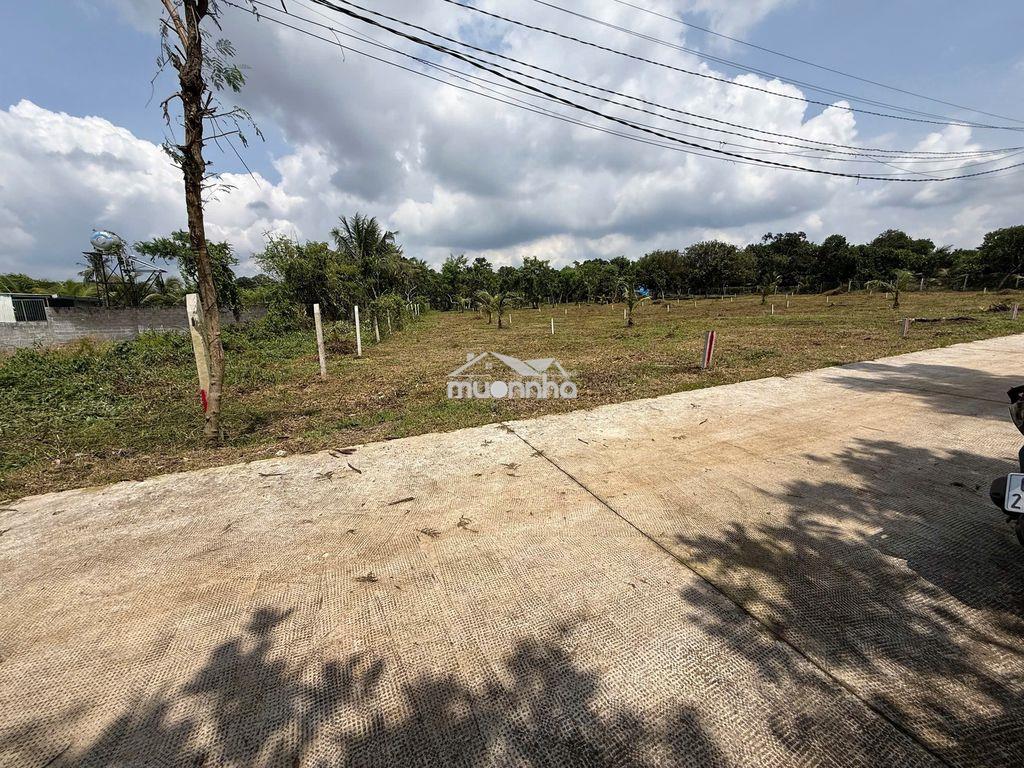 Đất thổ cư sổ riêng 5x24 giá 950 triệu bảo vinh long khánh đồng nai - 3