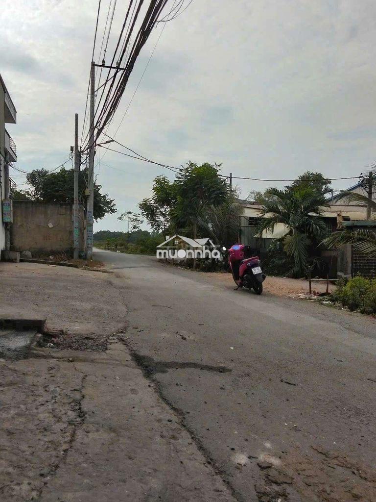 Kho thuê 300m. đường võ văn vân  vĩnh lộc b bình chánh tphcm. - 4