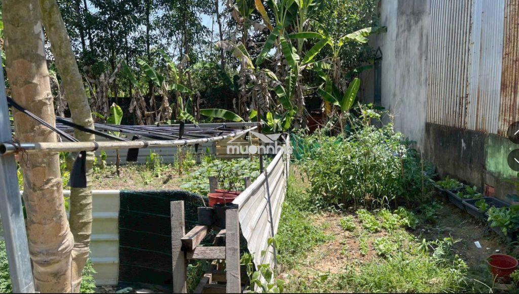 💥 1 bước ra ql20 – 95m2 đất trung tâm đô thị gia kiệm chỉ 375 triệu🌆 💥 - 4
