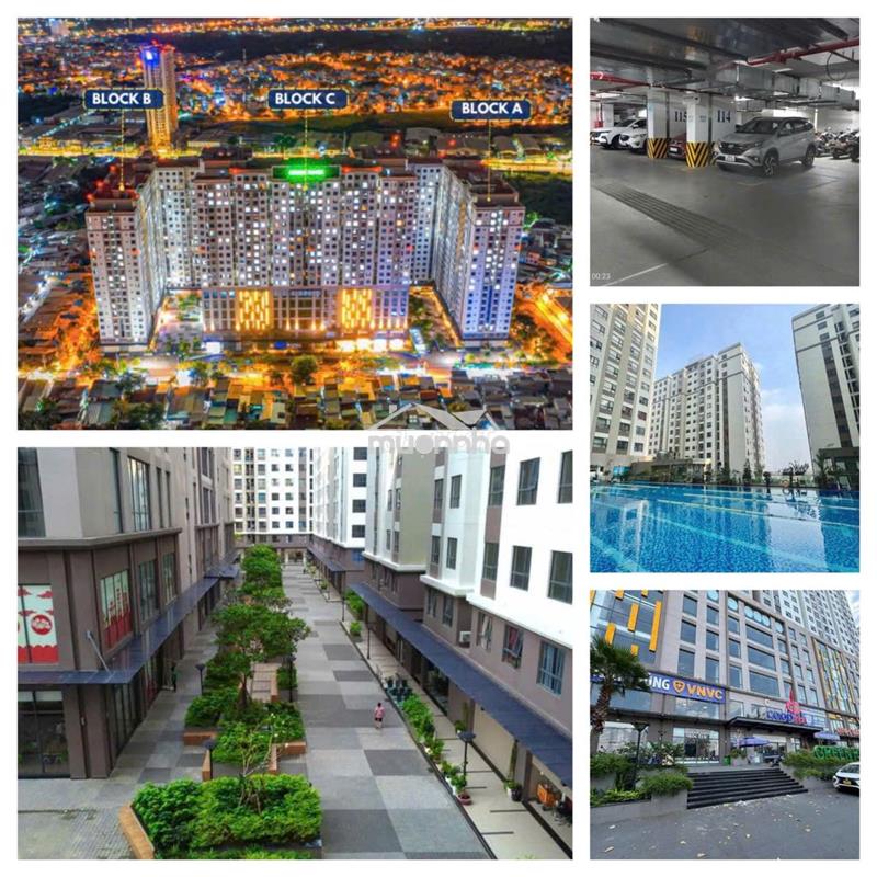 Chính chủ bán ch green river dt80m2/ 3pn view sông,nhà mới 100% quận 8