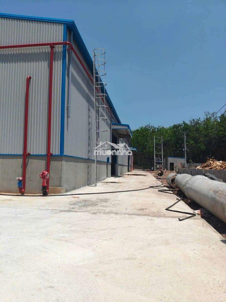 Cho thuê kho xưởng phú giáo bình dương 