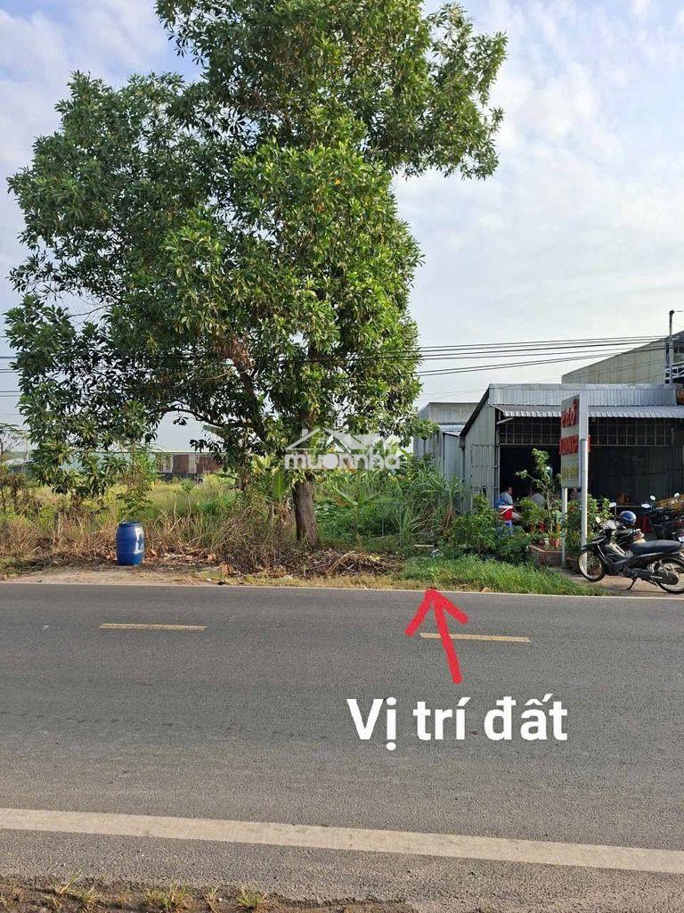 600tr bán đất bàu bàng 200m2 đường lớn,gần chợ lai uyên. shr