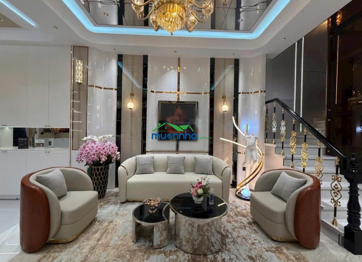 Nhà thiết kế luxury phạm viết chánh quận 1 - vừa ở vừa kinh doanh tốt - 3