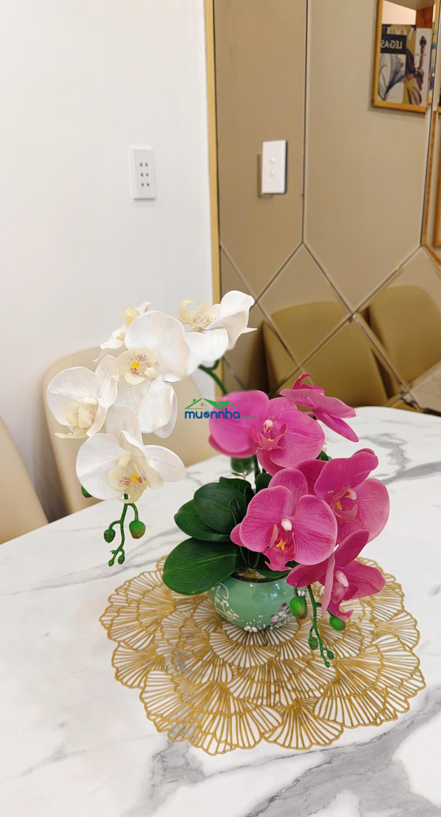 Bán nhà trung tâm quận 10 cách vài mét ra mặt tiền (2 cửa thoát hiểm siêu thoáng) - 2