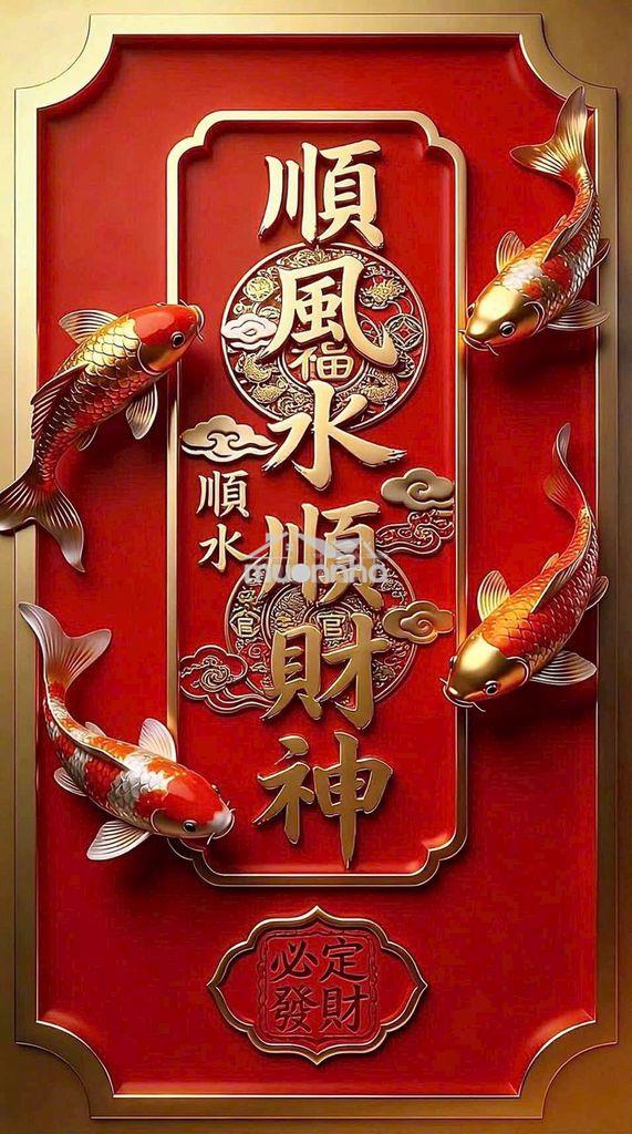 Nhà cho thuê 