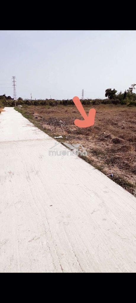 Bán đất đẹp chính chủ - 2