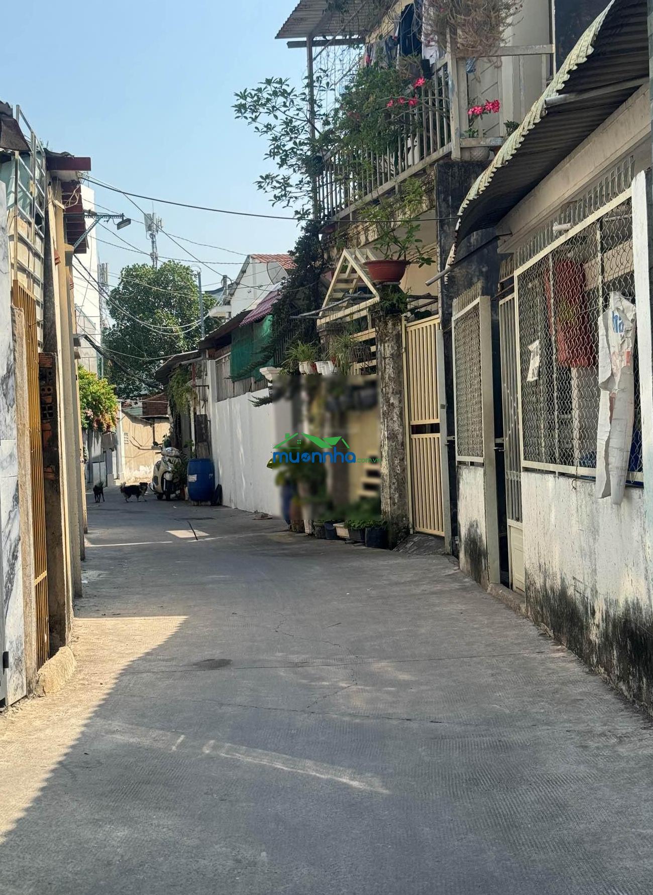 Bán nhà đặng văn bi 72m2 ngang 5.6m hiếm hẻm ô tô thông 4pn khai thác chdv chỉ nhỉnh 6 tỷ - 3