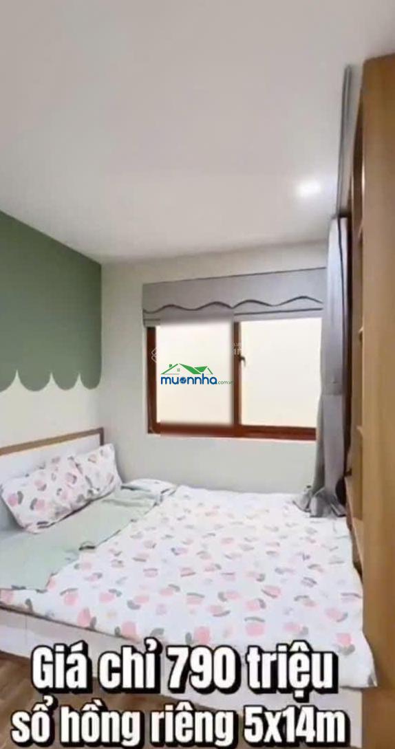 Bán gấp nhà 1 lầu 5x14m. giá 790 triệu. đường lý chiêu hoàng. gần chợ an dương vương. sổ hồng riêng - 4
