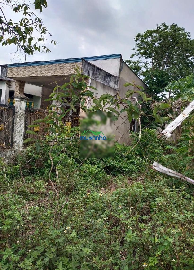 Chính chủ, bán nhà đường ba sa, 9x26=251m2 sổ riêng, không quy hoạch, 1pn, 1wc giá 980tr - 2
