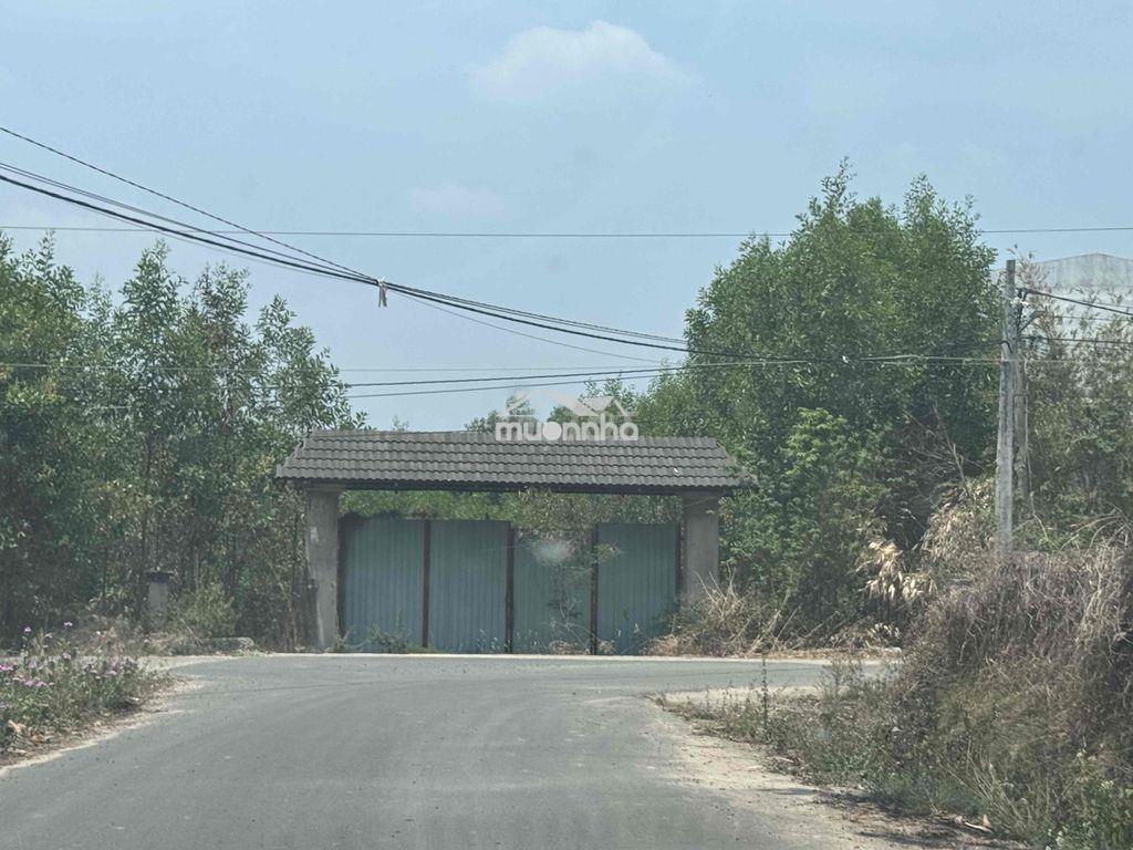Đất biệt thự tại phú mỹ - vũng tàu - 2