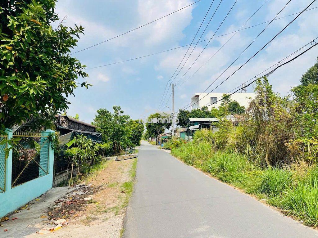 Ngộp lô đất đối diện bò tơ hồng đào xã tân thông hội, củ chi - 3