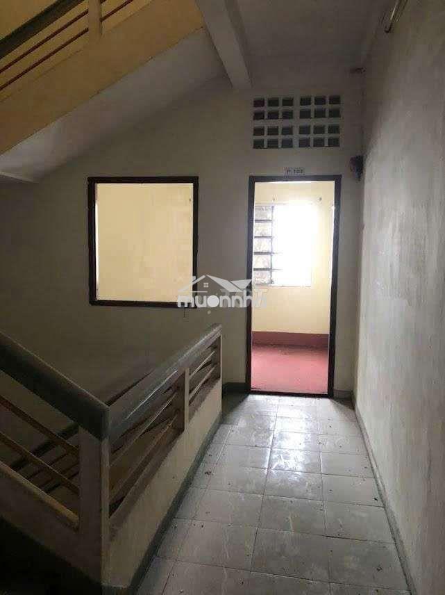 Cho thuê nhà nguyên căn đường phạm đình hổ - 3