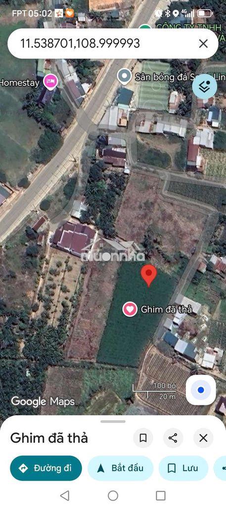 Đất trồng cây hàng năm  - 3