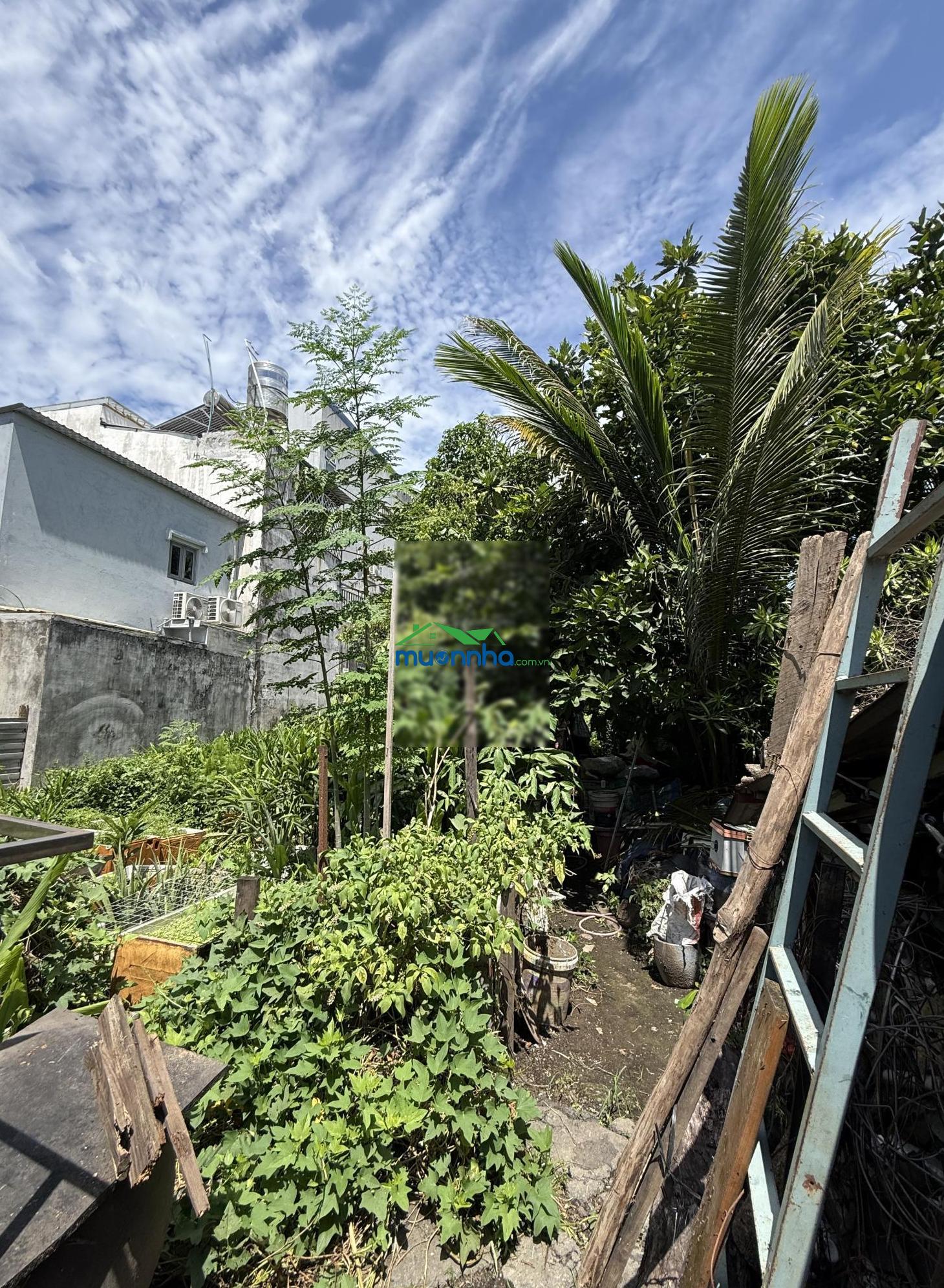 Bán nhà vườn 1.330m2, an phú đông, quận 12 - 2