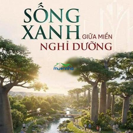 Nhà phố - xẻ khe 80m2 tỷ all in - ưu đãi lên đến 64% giá trị - vinhomes saigon park hm