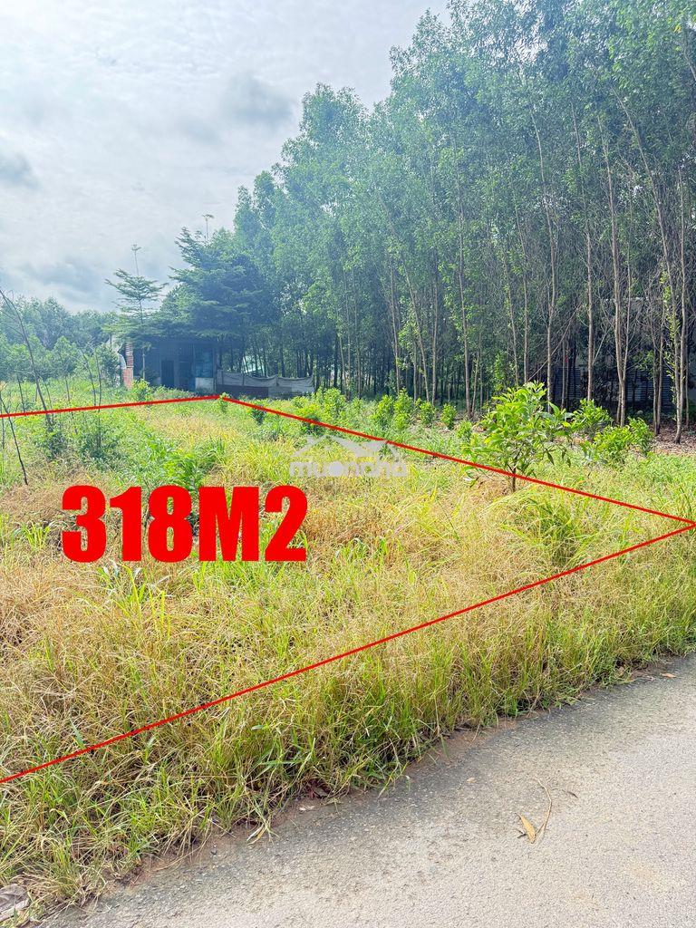 Đất rộng 318m² tại an viễn - trảng bom