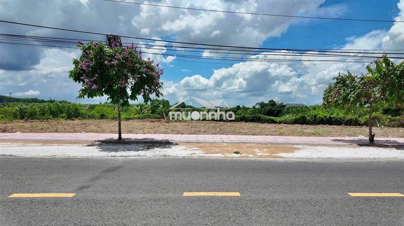 Bán 5 lô đất mặt tiền hương lộ 7 phường tân triều tp đồng nai