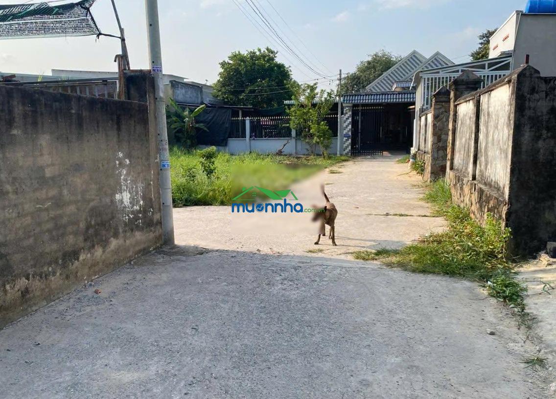 Làm ăn thua lỗ bán căn 100m2,giá 850triệu ở ngay tại xã tân phú trung huyện củ chi,có sổ hồng riêng
